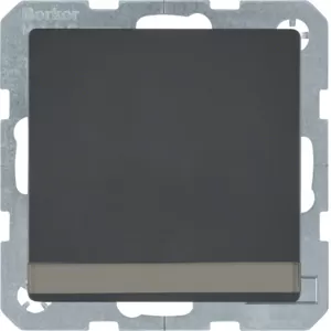 Berker SKO STD M STKL,KI,KLD,SL SS Q1 ANTH 47526086