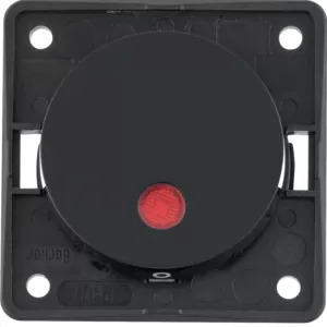 Berker Kontr.-Aus. 2p, 12V, LED, Flow/Pure, sw 937622510