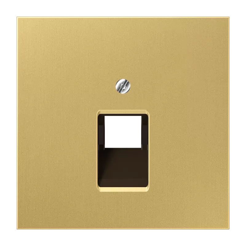 Jung Abdeckung für IAE/UAE-Anschlussdosen 1 x 8-polig, Messing, Serie LS, Messing classic ME2969-1UAC
