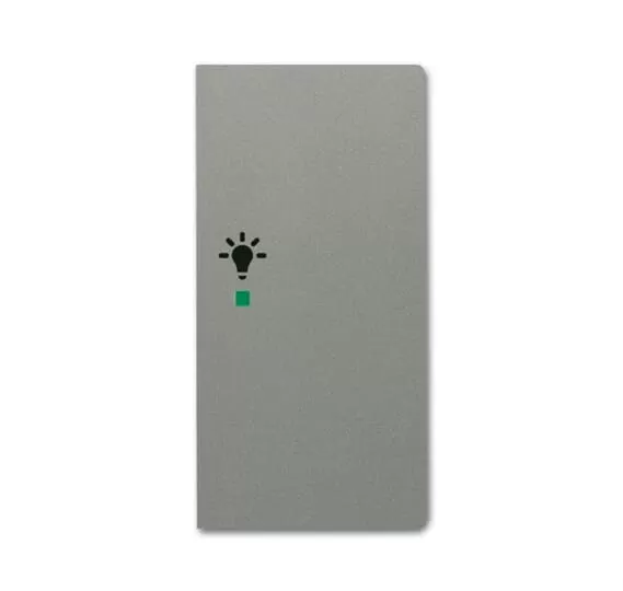 Busch-Jaeger 6231-22-803 | Wippe 2-fach rechts, mit Symbol Licht