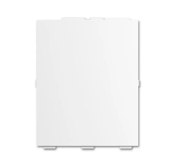 Busch-Jaeger SLS/A.0.11-84 | Abdeckung für Schriftfeld RTR, klein Busch-Tenton®