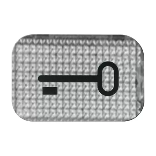 Busch-Jaeger 2145 TR | Tastersymbol, transparent Schlüssel