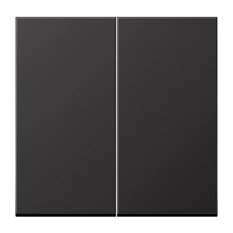 Jung Steuertaste 2fach Standard, Aluminium lackiert, Serie LS, dark (lackiertes Aluminium) AL1702D