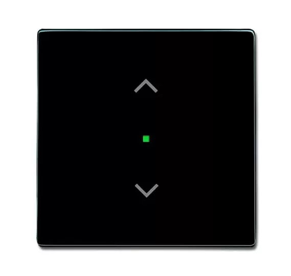 Busch-Jaeger 6232-10-81 | Wippe 1-fach, mit Symbol Jalousie