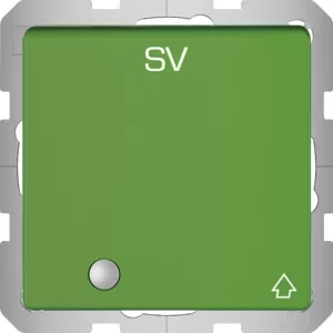 Berker Steckdose SCHUKO m. KLPD u. LED Q.x grün 41516013