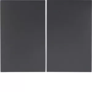 Berker Wippen K.1 anthrazit matt 14357006