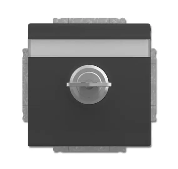Busch-Jaeger 20 EUKNBSL-81-101 | SCHUKO® Steckdosen-Einsatz mit Klappdeckel und Schloss