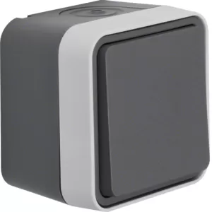 Berker Kreuzschalter AP W.1 grau 30773505