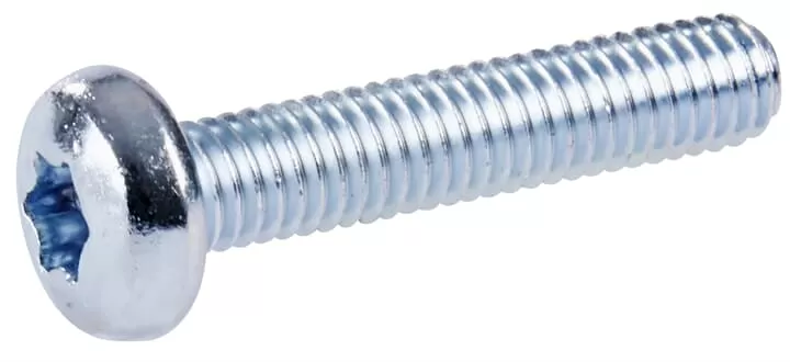Striebel & John ZX910P10 Flachkopf-Schrauben M6x20 T30  ZX910P10