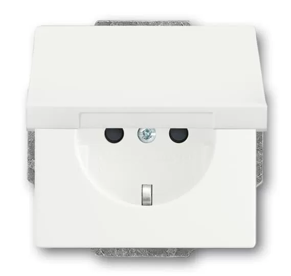 Busch-Jaeger 20 EUKBR-884 | SCHUKO® Steckdosen-Einsatz mit Klappdeckel und int. erh. Berührungsschutz
