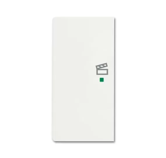 Busch-Jaeger 6233-21-884 | Wippe 2-fach links, mit Symbol Szene