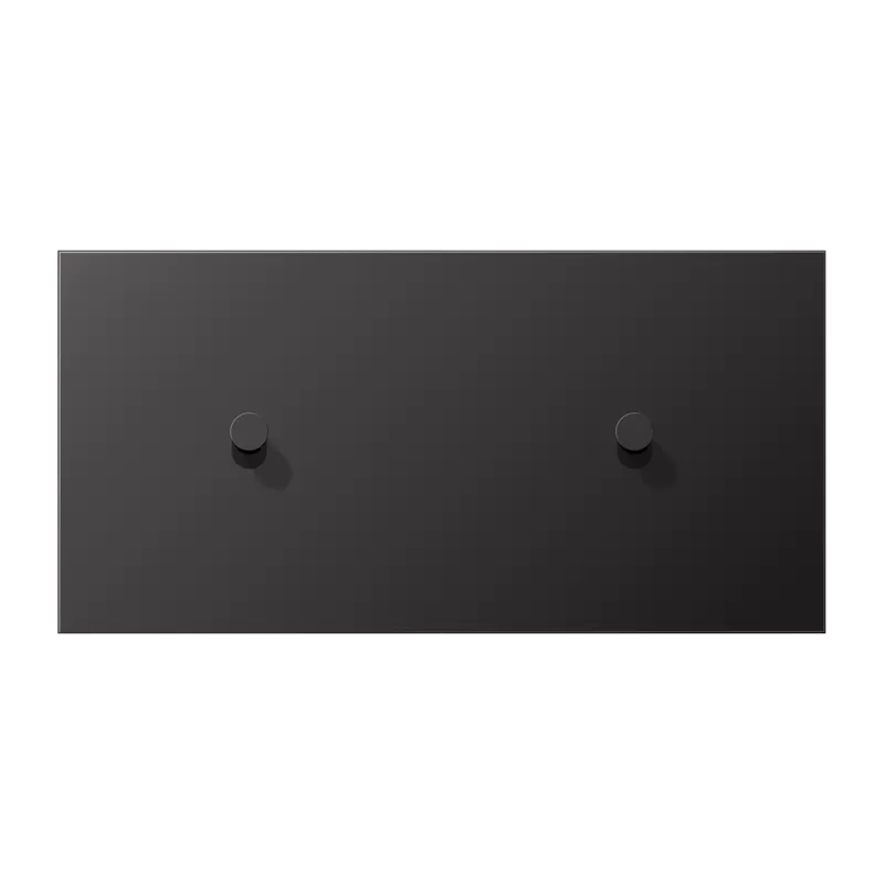 Jung Abdeckung mit Kipphebel, Kegel, 1fach, 2 x 1 Kipphebel, waagerecht, Serie LS 1912, dark (lackiertes Aluminium) AL12-200DK01