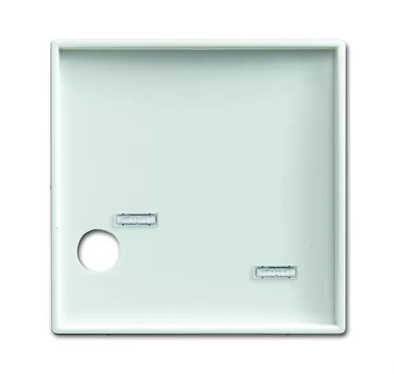 Busch-Jaeger 2548-046 A-914 | Zentralscheibe