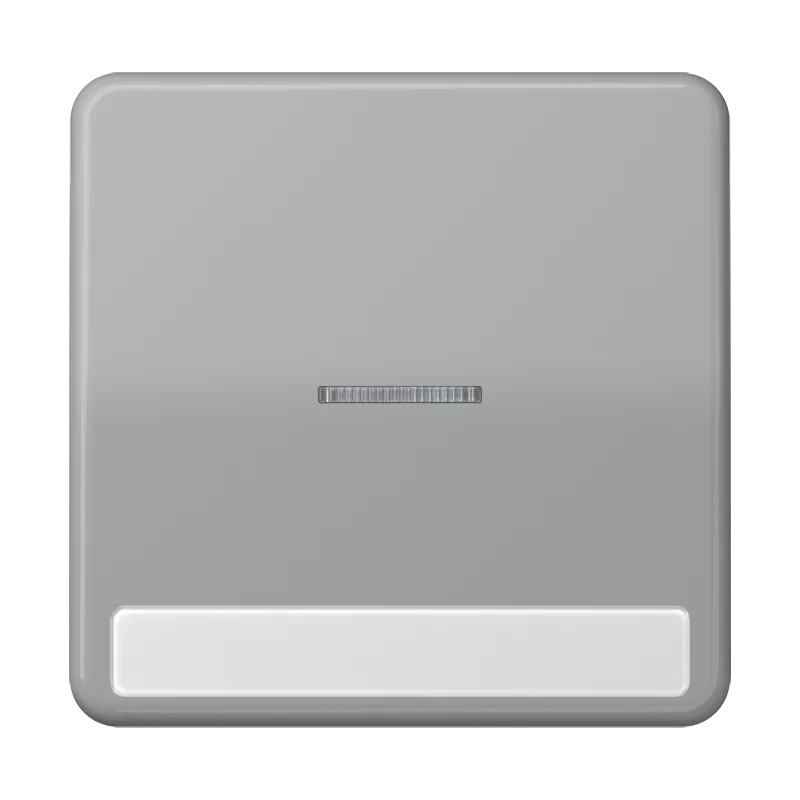 Jung Wippe 1fach mit Lichtleiter, mit Schriftfeld, Duroplast, Serie CD, grau CD590NAKO5GR