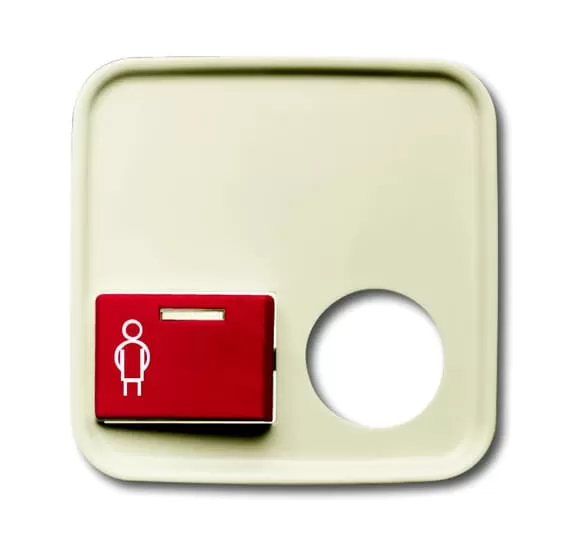 Busch-Jaeger 2548-022 B-212-101 | Zentralscheibe