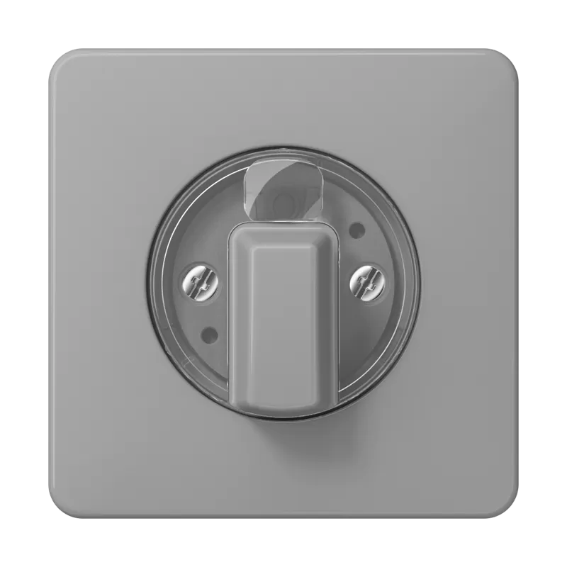 Jung Abdeckung für Drehschalter, Duroplast, Serie CD, grau CD1541GR