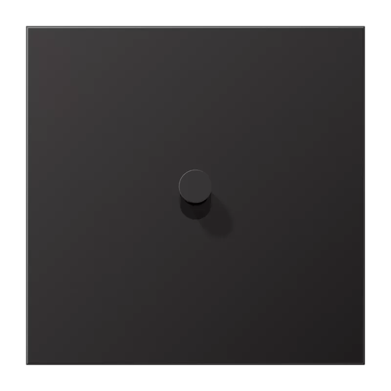 Jung Abdeckung mit Kipphebel, Kegel, 1fach, 1 Kipphebel, Serie LS 1912, dark (lackiertes Aluminium) AL12-0DK01