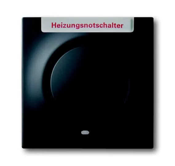 Busch-Jaeger 1789 H-775-101 | Zentralscheibe mit Betätigungsknopf und Glimmlampe