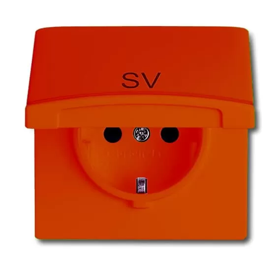 Busch-Jaeger 20 EUGKB-14-101 | SCHUKO® Steckdosen-Einsatz mit Klappdeckel und Aufdruck