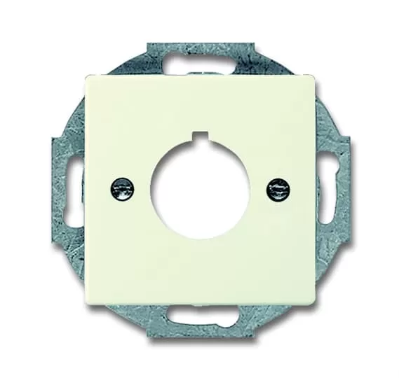 Busch-Jaeger 2533-82 | Zentralscheibe mit Tragring
