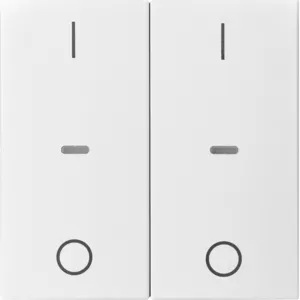 Berker Abdeck. Tast.-M. 2f. I/O S.1/B.x pw m 80962399