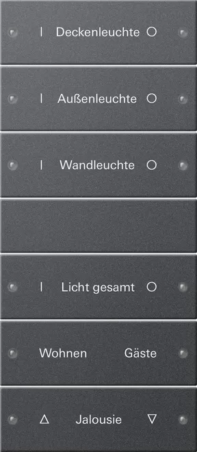 Gira Wippenset 6f (3+3) beschr. System 55 Anthrazit(lack.) 220628