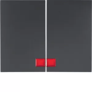 Berker Wippen beleuchtb K.1 anthrazit matt 14377006