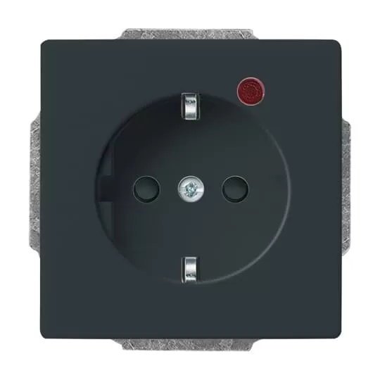 Busch-Jaeger 2310 EUGL/VA-81-11 | Busch-Protector® SCHUKO® Steckdosen-Einsatz mit Überspannungsschutz