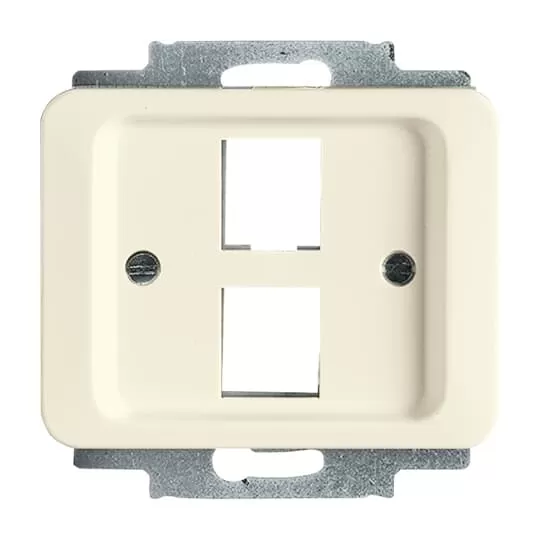 Busch-Jaeger 2561-02-22G | Zentralscheibe mit Tragring