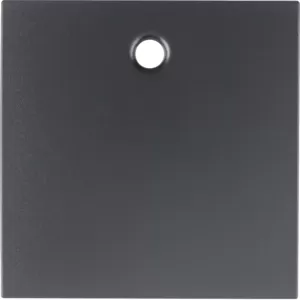 Berker Zentralstück f Zugsch/tast B.3/B.7 anthr 11461606