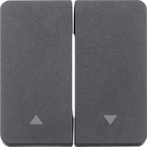 Berker Wippe 2fach mit Symbol Pfeil W.1 grau 30753535