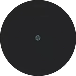 Berker Zentralstück f Ka u Vdo-Asd R.1 schw 10192045