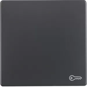 Berker Wippe mit Aufdr Symbol Tür Q.1/Q.3 ant 16206066