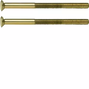 Berker System TS Zwei Loch Schraube mit Linse 189512