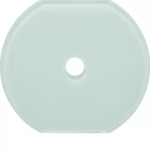 Berker Glas-Mittelplatte Schalter Serie Glas pw 109509