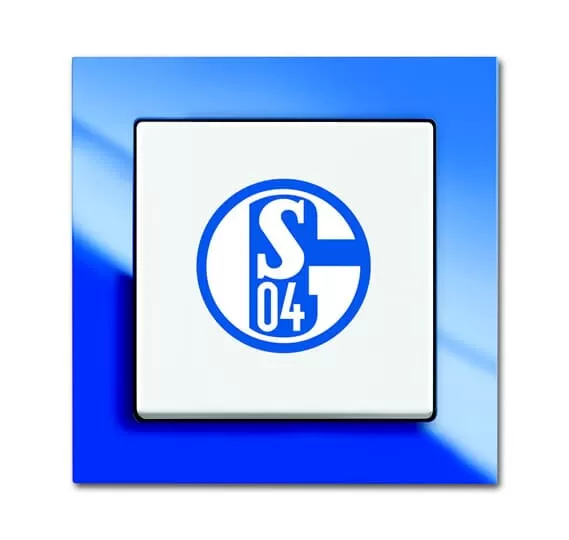 Busch-Jaeger 2000/6 UJ/02 | Fanschalter FC Schalke 04 Aus- und Wechselschaltung