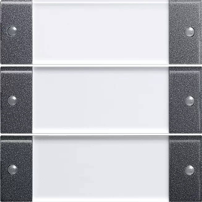 Gira Wippenset 3f BSF System 55 Klar/Anthrazit 213328