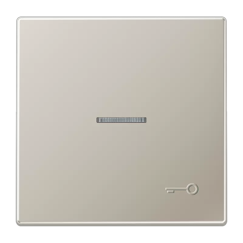 Jung Wippe 1fach mit Lichtleiter, mit abtastbarem Symbol Tür, Serie LS, Edelstahl ES2990KO5TP
