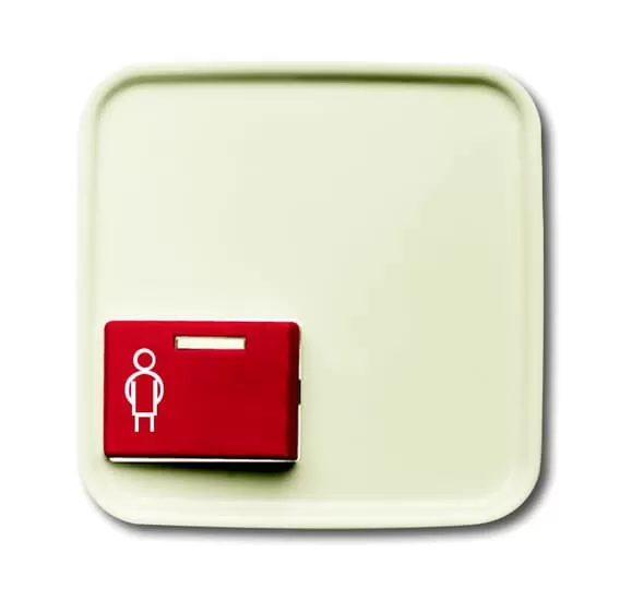 Busch-Jaeger 2548-022 A-212-101 | Zentralscheibe