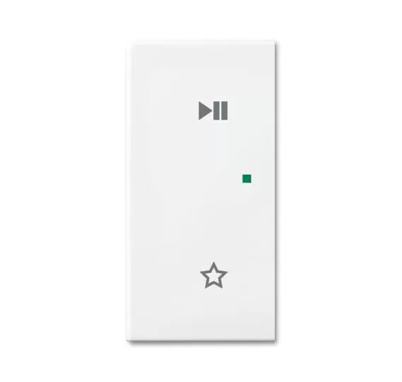 Busch-Jaeger 6237-21-914 | 6237-21-914 Wippe/L 2-fach,Play/Pause