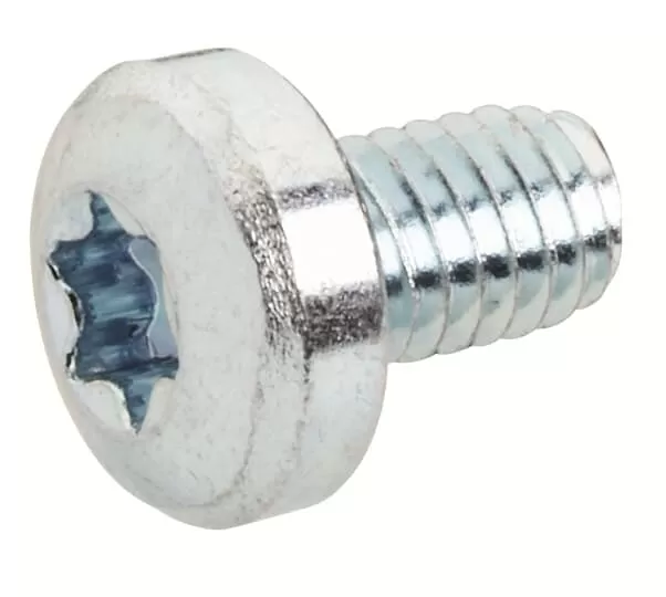 Striebel & John RZ12P500 Linsenschraube M6x10 Torx T30  RZ12P500