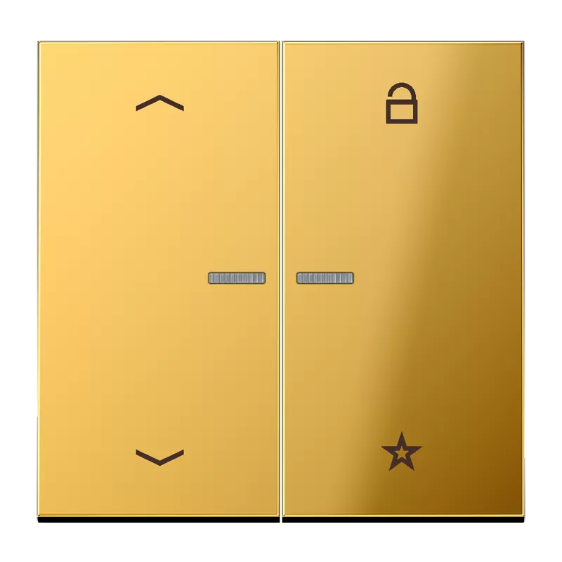 Jung eNet Funk-Steuertaste Pfeile 2fach, mit Pfeilsymbolen, Metall goldfarben PVD-beschichtet, Serie LS, goldfarben FMGO1701P