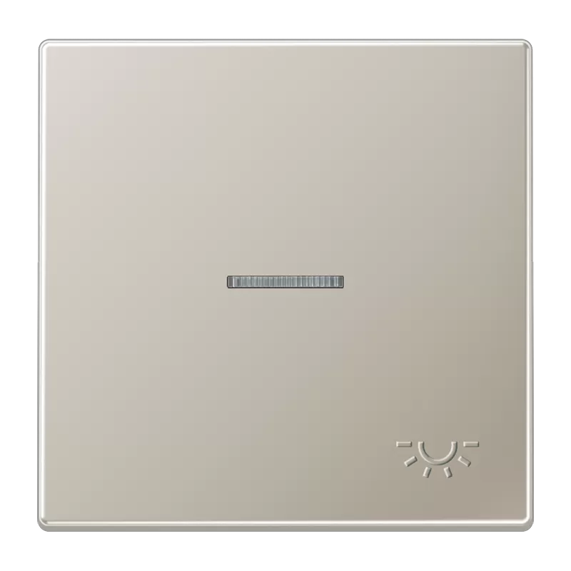 Jung Wippe 1fach mit Lichtleiter, mit abtastbarem Symbol Licht, Serie LS, Edelstahl ES2990KO5LP