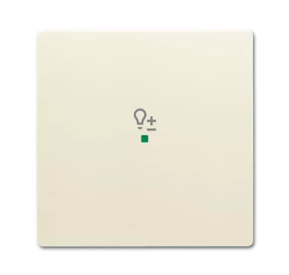 Busch-Jaeger 6234-10-82 | Wippe 1-fach, mit Symbol Dimmer