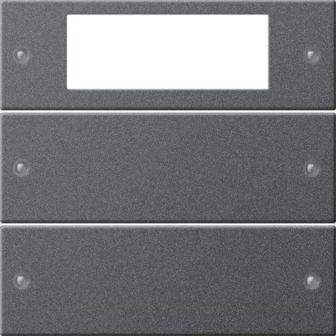 Gira Wippenset 2f Plus System 55 Anthrazit(lack.) 219228