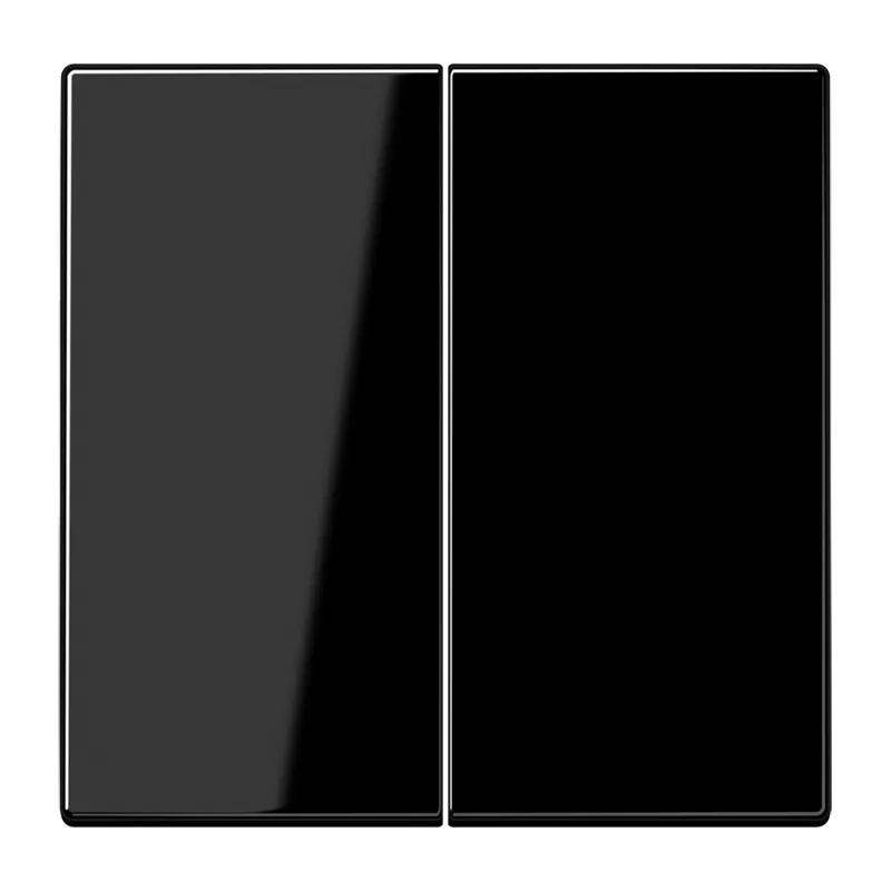 Jung Steuertaste 2fach Standard, Duroplast, Serie LS, schwarz LS1702SW