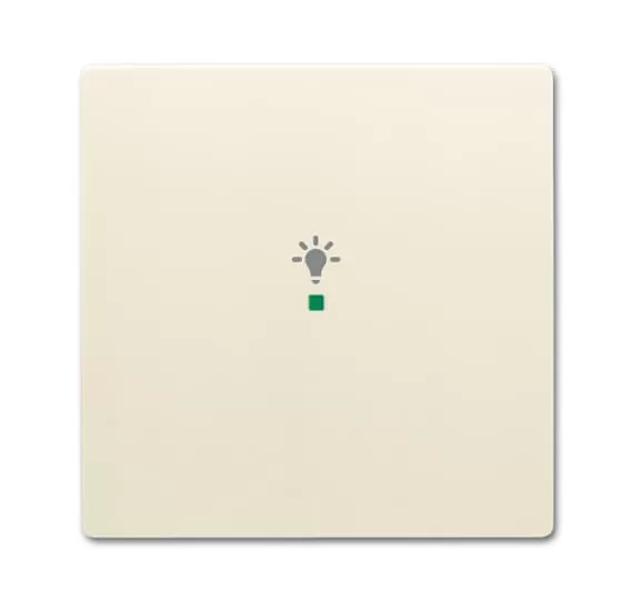Busch-Jaeger 6231-10-82 | Wippe 1-fach, mit Symbol Licht