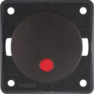 Berker Kontr.-Aus. 2p, 12V, LED, Flow/Pure, br 937622531