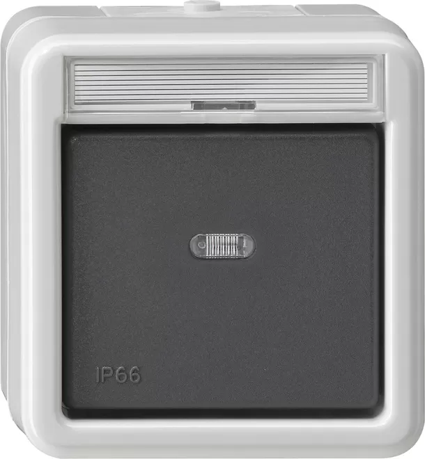 Gira Wipptaster Schließer sMK BSF WD AP Grau 015231