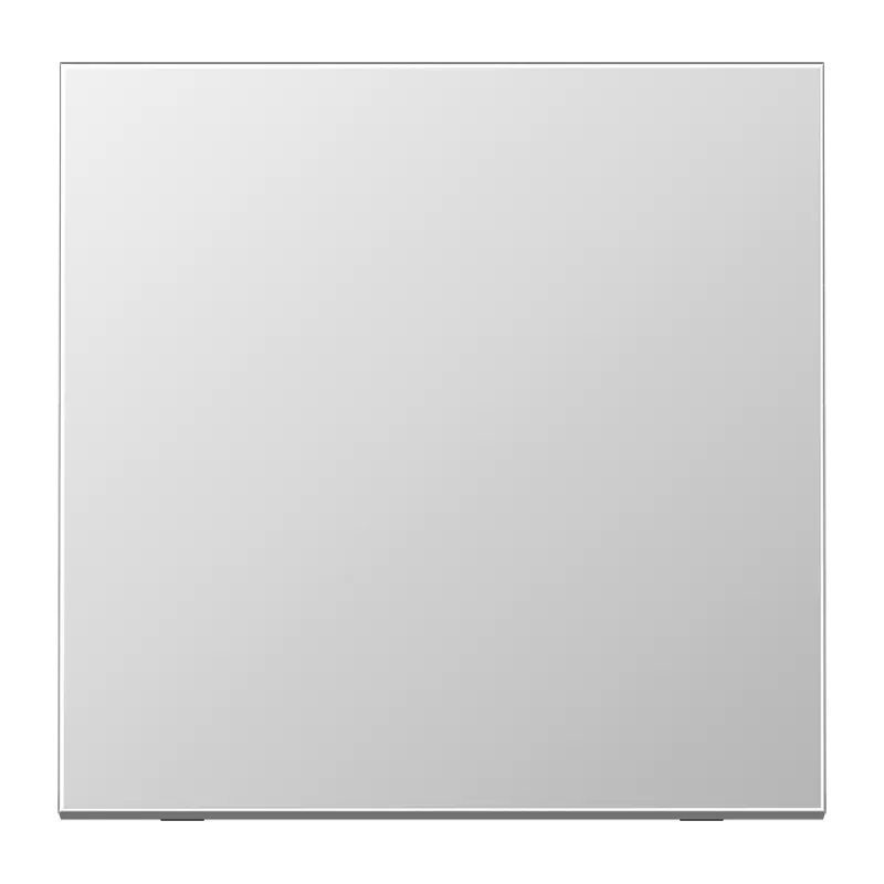 Jung EnOcean Funk-Wandsender 2-kanalig, Serie LS, Aluminium (lackiert) ENOAL2990-L